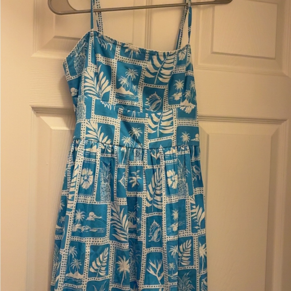 Elizabeth and James Blue and White Maxi Dress